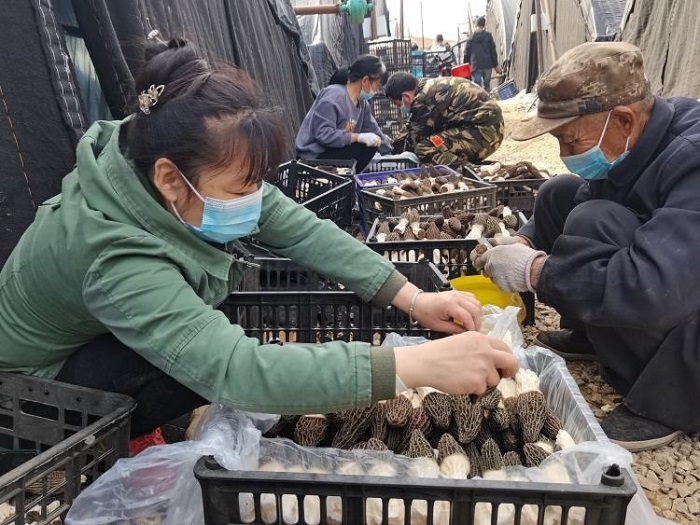 中国·js345线路检测(股份有限公司)-OfficialPlatform