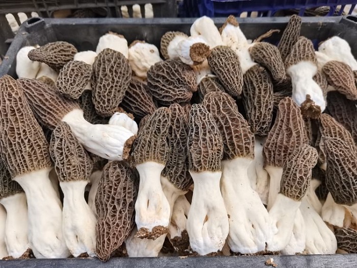 中国·js345线路检测(股份有限公司)-OfficialPlatform