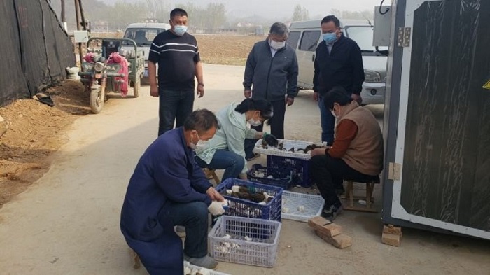 中国·js345线路检测(股份有限公司)-OfficialPlatform