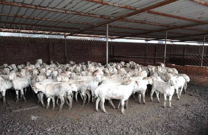 中国·js345线路检测(股份有限公司)-OfficialPlatform