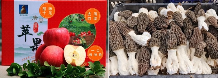 中国·js345线路检测(股份有限公司)-OfficialPlatform