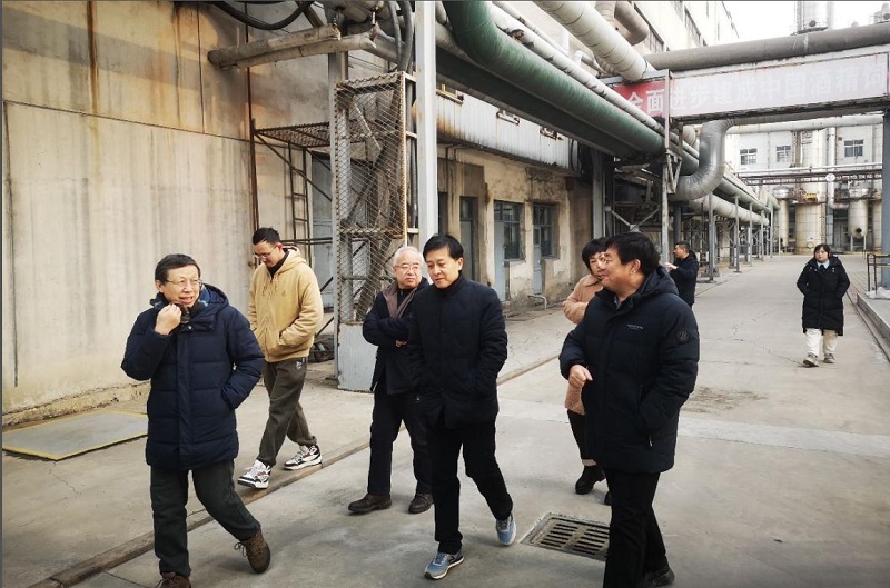 55829646f02dd4294077936851d60e02