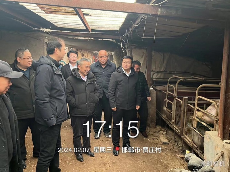 4b4b023c2d32a13ce49d348269ea4a16