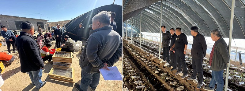 fec12bb67fac666994eb6517fc4a1252