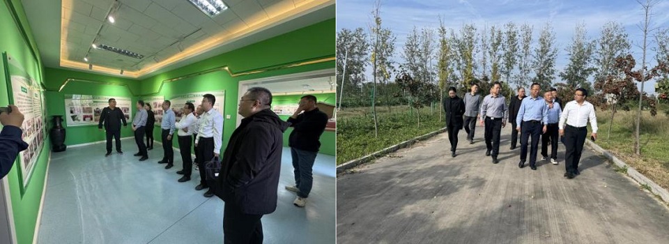 ce43171291e90e65f585b4e1155bc87d